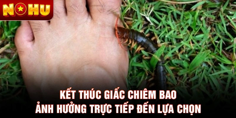 Kết thúc giấc chiêm bao ảnh hưởng trực tiếp đến lựa chọn