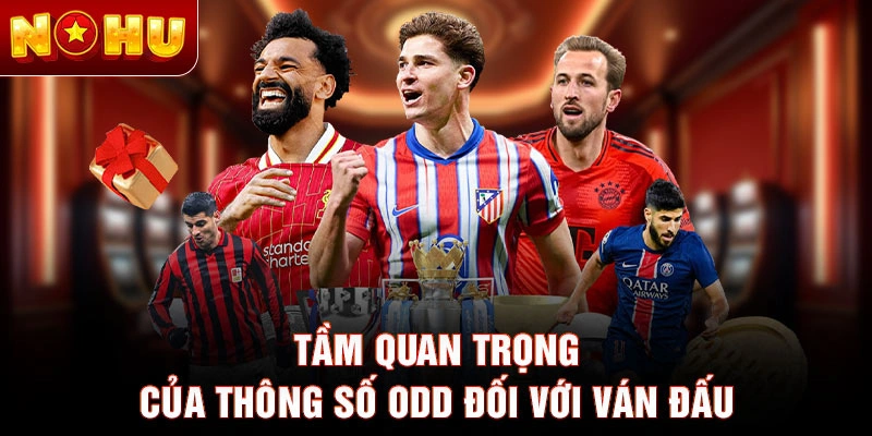 Tầm quan trọng của thông số odd đối với ván đấu