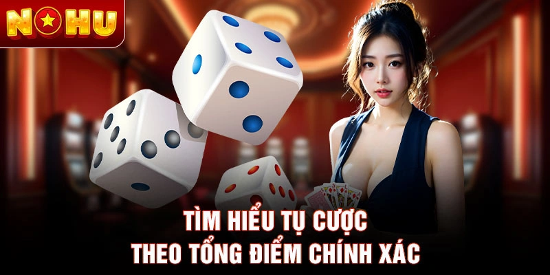 Tìm hiểu tụ cược theo tổng điểm chính xác